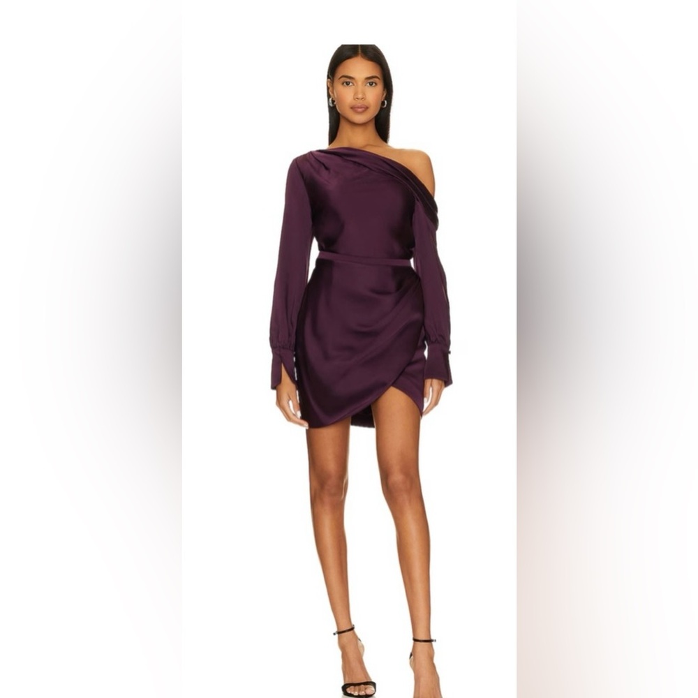 SIMKHAI Cameron One-Shoulder Minidress Sz 8
NWT in Plum